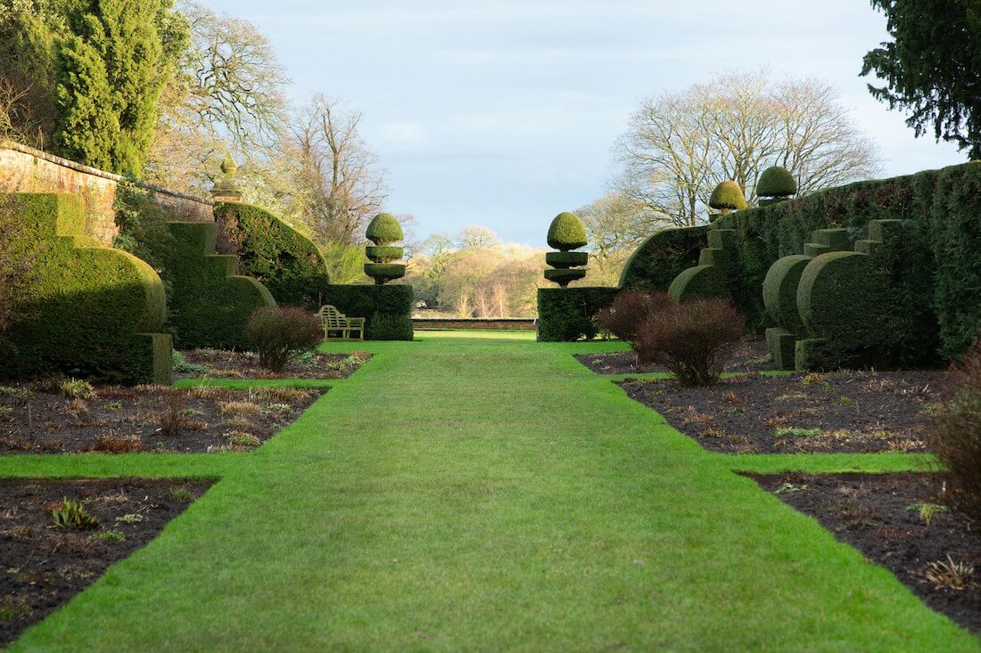 Thick Grass Lawn in the UK