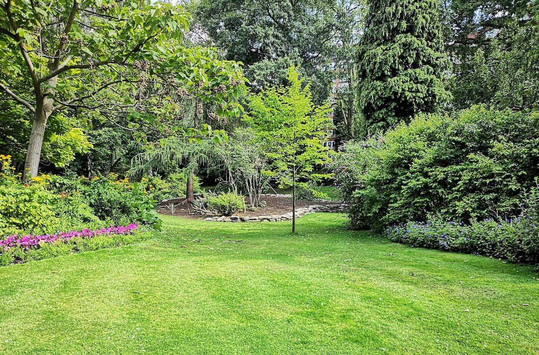 Thick Grass Lawn in the UK