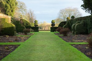 A beautiful grass lawn in the United Kingdom